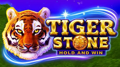 Tiger Stone cover image