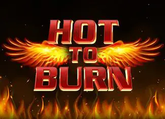 Hot to Burn cover image