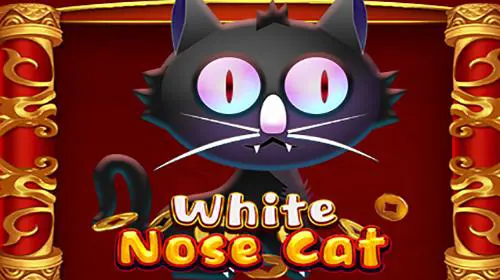 White Nose Cat cover image