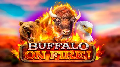 Buffalo on Fire! cover image