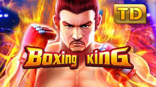 Boxing King cover image