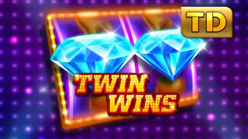 TWIN WINS cover image