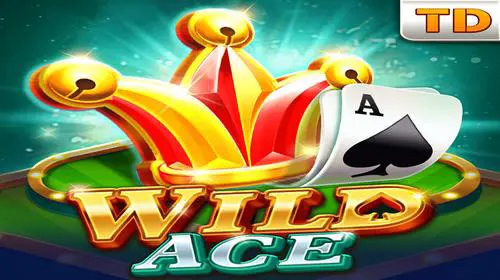 Wild Ace cover image