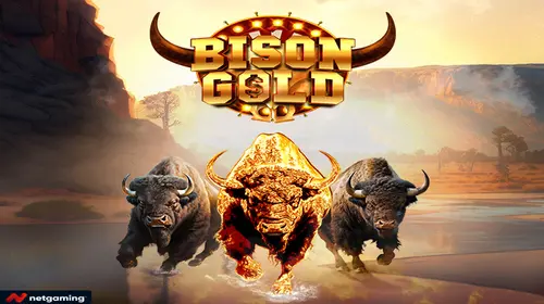 Bison Gold cover image