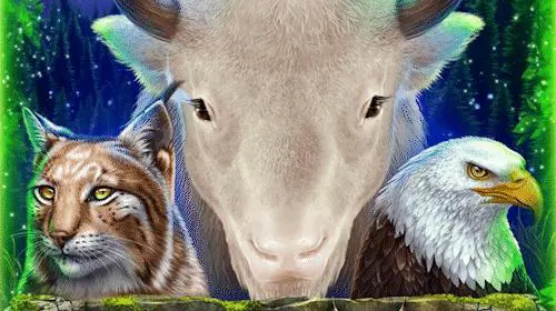 White Buffalo Miracles cover image