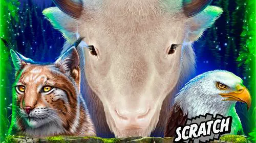 White Buffalo Miracles Scratch cover image