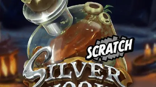 Silver Hook Scratch cover image