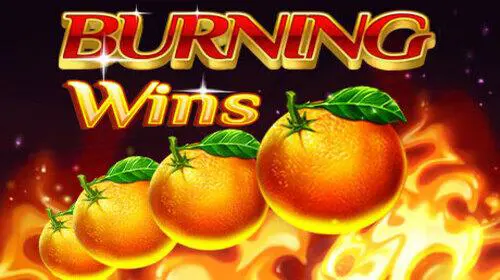 Burning 5 cover image