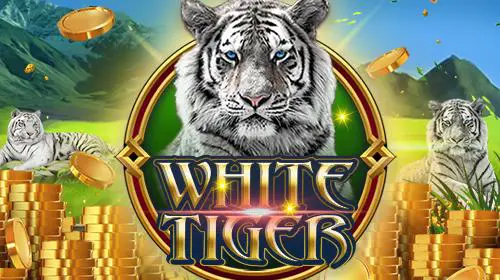 White Tiger cover image