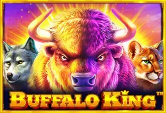 Buffalo King cover image