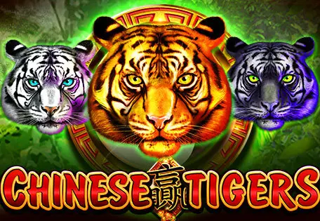 Chinese Tigers cover image