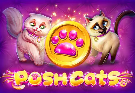 Posh Cats cover image