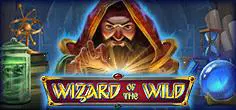 Wizard of the Wild cover image